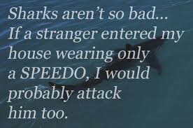 Funny Wisdom Quotes. QuotesGram via Relatably.com