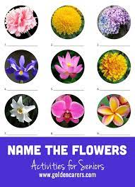 Ask questions and get answers from people sharing their experience with ozempic. Name The Flowers Quiz 3 Flower Games Quiz Flowers