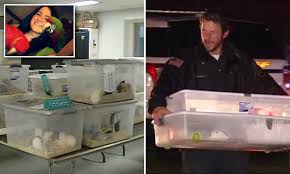 More than 300 animals seized from New York home