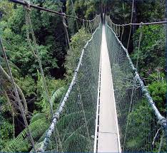 .being treated at gua musang hospital (hgm), 11 are at kuala krai hospital (hkk), and three are at the orang asli health homestay (rika) in gua musang, the minister said. Aktiviti Tubing Redah Sungai Di Taman Negara Kuala Koh Kelantan Libur