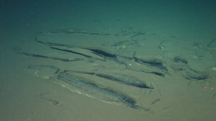 Divers Exploring WWII 'Graveyard of the Atlantic' | Live Science