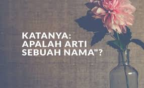 Ada yang bermakna buruk dan memiliki sifat merendahkan, ada yang terinspirasi dari sosok arti nama yang buruk ini, kurang baik dijadikan nama buah hatimu. Katanya Apalah Arti Sebuah Nama