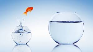 We did not find results for: Vers Un Durcissement De La Reglementation Sur Les Transferts Des Contrats De Travail Prive Vers Le Public Societe D Avocats Nps Consulting