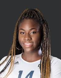 2021 Michigan Miss Volleyball Award: Meet the finalists