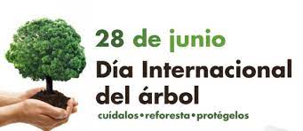 Hoy 28 de junio se celebra el día mundial del árbol. 28 De Junio Dia Mundial Del Arbol Establecido En El Congreso Mundial De Roma En 1969 Mar Fund Staff Intranet