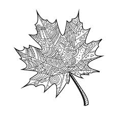Product Fall Coloring Pages Relaxing Coloring Book Coloring Books