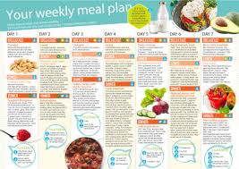 Design A Unique Health Chart Of Your Diet Plan By Khanstudio259