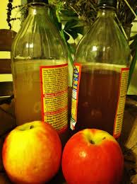 Apple Cider Vinegar Eternal Youth From The Tree Of Life Wilderutopia Beneficial or not, apple cider vinegar is still an acid, and it can be rough on your insides. apple cider vinegar eternal youth from