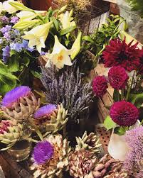 See more ideas about flowers, beautiful flowers, planting flowers. Stephanie Carrington On Twitter Earth Laughs In Flowers Melbourne Australia Beautiful Flowers Travelphotography Happiness Floral Pretty Https T Co Z8ofsoissw