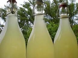 Cuisine Sauvage Sureau Cuisine Sauvage Limonade Boissons Sans Alcool