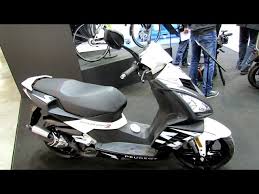 Image result for Golden White Mts 2014 Peugeot