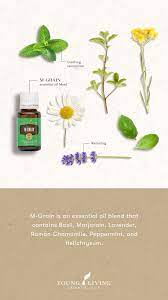 M Grain Essential Oil Blend Essential Oil Blends Essential Oils Oil Blend