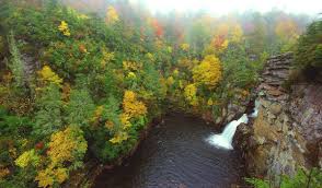 You'll find water fountains, restrooms, maps and area information, and parkway keepsakes at visitor centers. Blue Ridge Parkway Asheville Nc