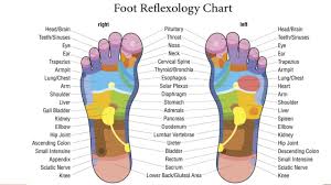 Foot Reflexology What Is Foot Reflexology Reflexology Massage Techniques