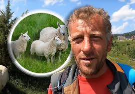 Više volim ovce nego žene. Tri žene su me ostavile zbog ovaca": Čoban Budo  se ne bi mijenjao ni sa predsjednikom države