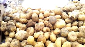 We did not find results for: Expensive Price For Bad Quality Potatoes In A Supermarket In Moscow 2017 Youtube