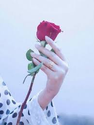 But you cannot show different profile pictures to different people according to the choices. Image Result For Flower Dp For Whatsapp Beautiful Rose Flowers Flower Images Free Flower Images