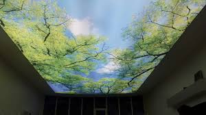 الطائف الجوهره للديكور طريف الشفا نازل جانب مسجد أسامه بن زيد Photo Wall Photo Aquarium