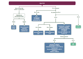 treatment for prostate cancer depends on: Clinical Practice Living Guidelines Metastatic Non Small Cell Lung Cancer Esmo