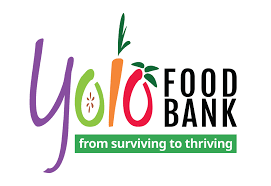 Dutch lady sells petaling jaya factory land to uem land for rm200m. 2016 2017 Annual Report Yolo Food Bank