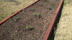 We did not find results for: How To Build A Garden Bed With Landscape Timbers Hubpages