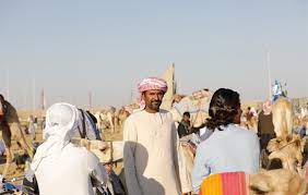About 10 km outside of abu dhabi is a race track where the traditional sport of camel racing is held ever weekend in the winter months. 2021 Guide To Camel Race Abu Dhabi Arabiers