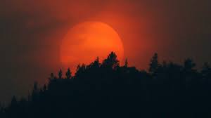 33,425 likes · 6 talking about this. The Sun Keeps Turning An Apocalyptic Shade Of Red Here S Why Grist