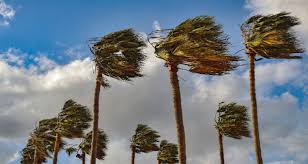 To be out of physical shape or not in good condition. Strongest Wind Event Of The Season Prompts Multiple Santa Clarita Weather Alerts