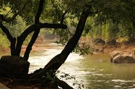 Sanjay Gandhi National Park - Mumbai's ...