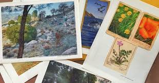 Posts about laura cunningham written by admintazoe. Laura Cunningham Art And Nature