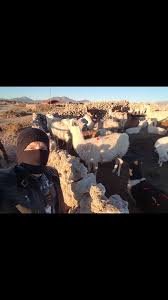 Historia, los mejores tweets en bolivia y hechos. San Juan De Rosario 2021 Best Of San Juan De Rosario Bolivia Tourism Tripadvisor