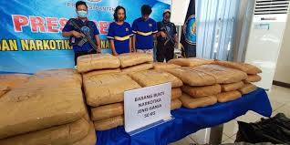Lowongan pegawai non pns pemda diy yogyakarta 2017, penerimaan pegawai non pns pemda jogjakarta, loker non pns pemda jogja. Bnn Gagalkan Pengiriman 50 Kg Ganja Kering Dari Aceh