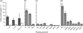 Image result for Dioscorea hirtiflora