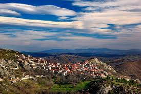 Image result for Grevea