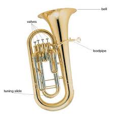 Euphonium Buyer S Guide Woodwind And Brasswind The Music Room Euphonium Woodwind Woodwind Instrument