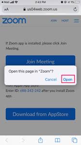 Order online and choose touchless store pickup. How To Join A Zoom Meeting On Desktop Or Mobile Business Insider