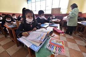 El sexto encuentro pedagógico planteó tres modalidades para el retorno a clases este 2021: Puma Directores De Colegios Deben Dar Tolerancia A Los Maestros Para Vacunarse Urgentebo