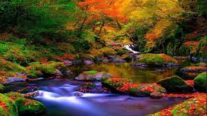 10 Most Visited Places Top 10 Most Beautiful Places Countries Cities City Tourist Autumn Landscape Landscape Wallpaper Autumn Forest