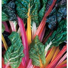 Maybe you would like to learn more about one of these? The Gold Standard For Multicolored Swiss Chard Lightly Savoyed Green Or Bronze Leaves With Stems Of Gold Pink Oran Rainbow Chard Rainbow Swiss Chard Chard