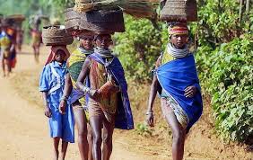 P and team, ajanoor cds, kasaragod mp3 duration 8:34 if you feel you have liked it irular tribe girls festival song mp3 song then are you know download mp3, or mp4 file 100% free! Tribes In News Bondas Civilsdaily