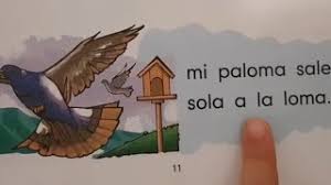 Cartilla libro nacho para imprimir libro de lecturas para 1 655 likes 9 talking about this receh from isravalenzuela.files.wordpress.com. Libro Nacho Aprende A Leer Y A Escribir En Espanol Palabras Con Las Letras L M P S Youtube