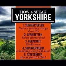 Quotes About Yorkies. QuotesGram via Relatably.com