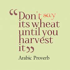 We did not find results for: Don T Say Its Wheat Until You Harvest It Arabic Proverb Arabic Proverb Proverbs Business Inspiration Quotes