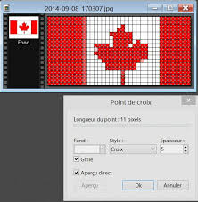 Facepixelizer | pixeliser & flouter une image en ligne. Pixeliser Une Image Drapeau Forum Photofiltre Comment Ca Marche