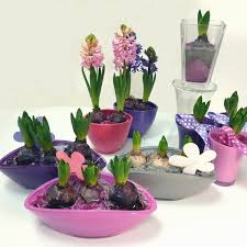 Résultat de recherche d'images pour "COMPOSITION PLANTES EXTERIEUR"