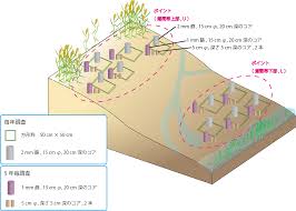 平成 27 年度 モニタリングサイト 1000 磯・干潟 調査報告書 平成 28（2016）年 3 月 環境省自然環