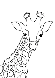 30 Disegni Di Giraffe Da Colorare Arte Di Giraffa Giraffa Disegno Giraffa