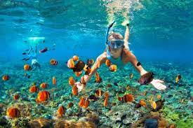 Check out this fantastic collection of pemandangan wallpapers, with 44 pemandangan background images for your desktop, phone or tablet. 10 Surga Bawah Laut Indonesia Destinasi Cantik Untuk Liburan Tak Terlupakan