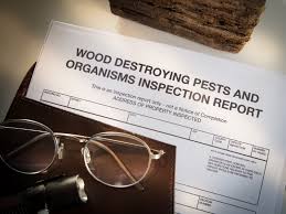 We need a licensed pest inspector to undertake a termite inspection and spray of our house in ashgrove. Termite Letter Buford Ga Termite Control Termite Report For Real Estate