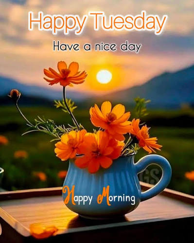 Happy Tuesday Morning Everyone! ߌ߰ߘʰߌ #GoodMorningEveryone #goodmorning